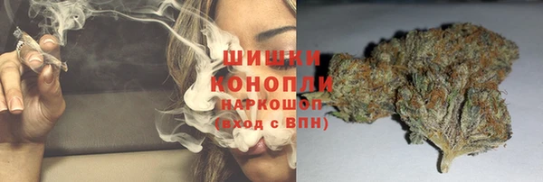 Альфа ПВП Аркадак