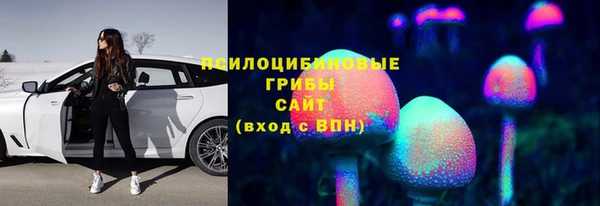 Альфа ПВП Аркадак