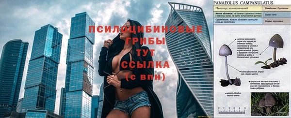 ECSTASY Арсеньев