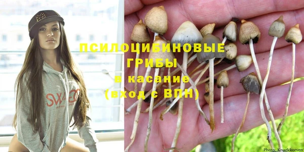 прущий лед Армянск